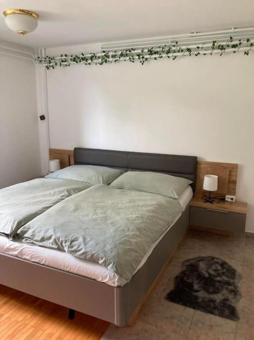 Apartment Zeleni Oddih Z Razgledom