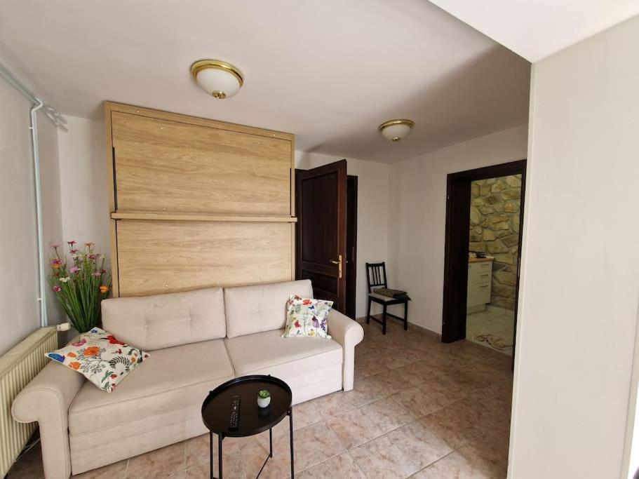 Apartment Zeleni Oddih Z Razgledom Slovenska Bistrica
